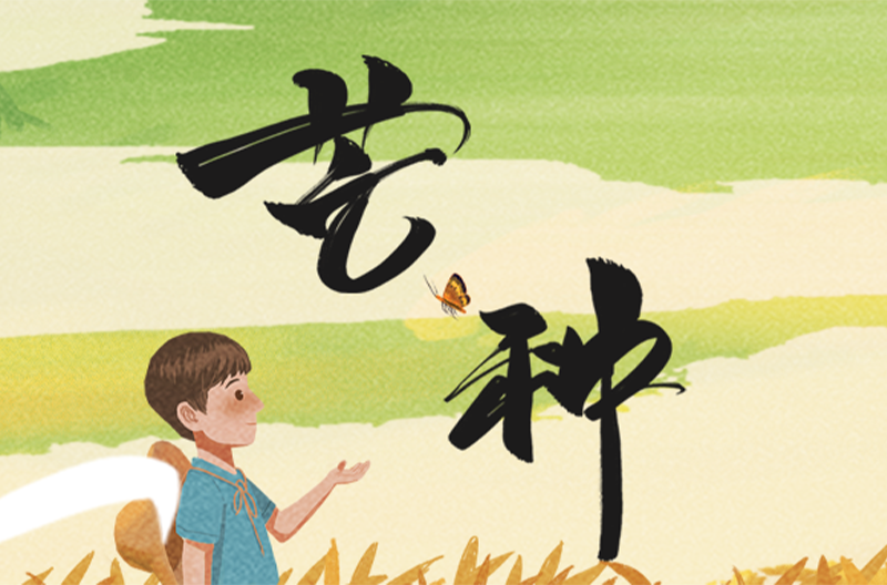 山西二十四节气 | 芒种